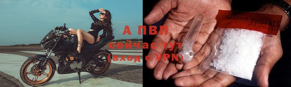 марки nbome Бородино