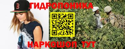 apvp Можга
