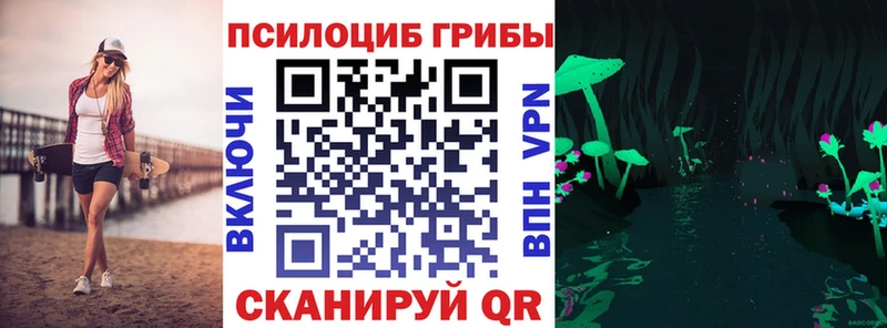 mega ссылка Видное Псилоцибиновые грибы Psilocybe купить наркотики цена