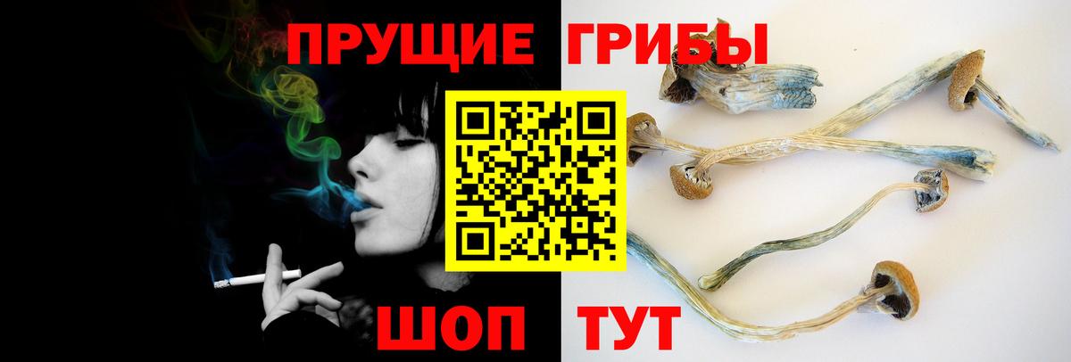 даркнет сайт  Галлюциногенные грибы Psilocybine cubensis  Вход с VPN  Видное 